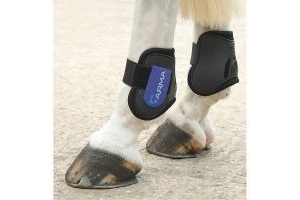 Shires ARMA Fetlock Boots Black/Royal Blue | Horses & Ponies