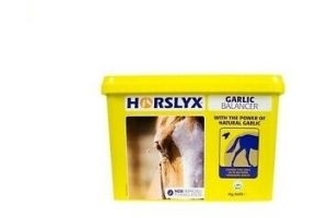 Horslyx Garlic Horse Lick Refil Balancer - Foraging Grazing Stress Boredom 5kg