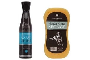 Carr & Day & Martin - Canter Coat Shine Conditioner Spray (600ml) with Horse Care Sponge & Tigerbox Anti-Bacterial Pen.