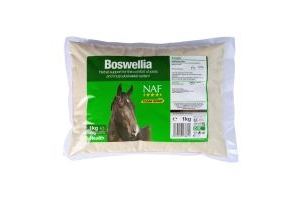 Boswellia Powder 1KG