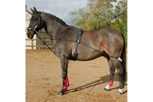 John Whitaker Training System Aid With Roller Lunging System | Adjustable