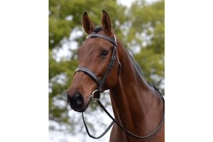 Kincade Hunt Cavesson Bridle II | Equestrian Equipment | Black