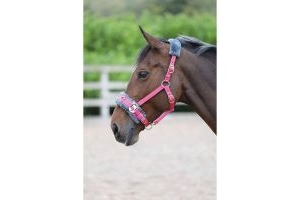Shires Fleece Lined Lunge Cavesson Pink