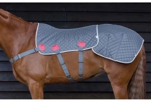 Equilibrium Therapy Magnetic Back & Quarters Pad