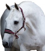 Horseware Rambo Padded Headcollar Black/Pomegranate/White