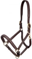 LeMieux Embroidered Leather Headcollar Brown