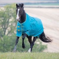 Shires Tempest Original 300 Heavy Weight Standard Neck Turnout Rug Teal