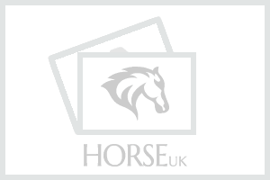 Shires Performance Fully Lined Half Pad Black